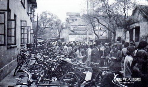 桂林最新新闻爆料视频播放,视频揭秘神秘事件！